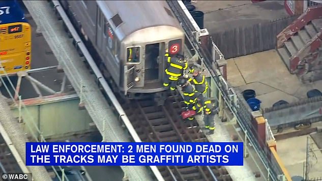 The two were fatally struck by a Manhattan-bound No. 3 train in Brownsville, pictured, between late Tuesday night and early Wednesday morning