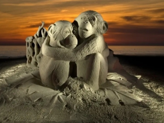 Sand sculptures in past years have included this dramatic monkey duo captured at sunset by photographer Bernard Littlefield.