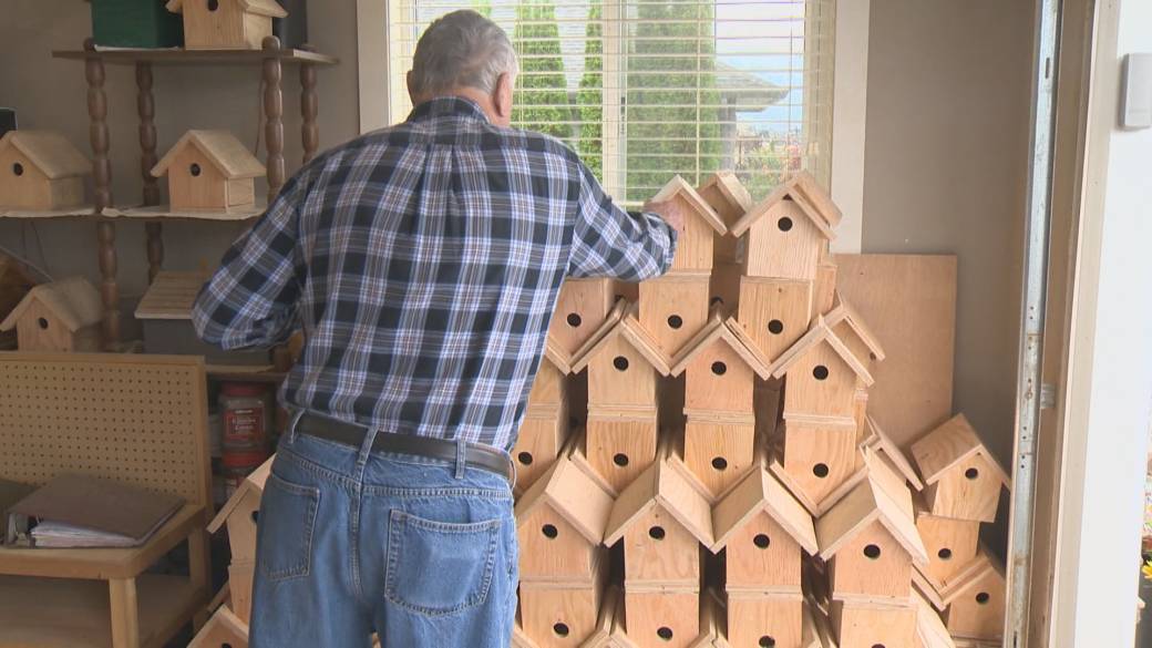 Click to play video: 'This is BC: Birdman of Desert Cove'