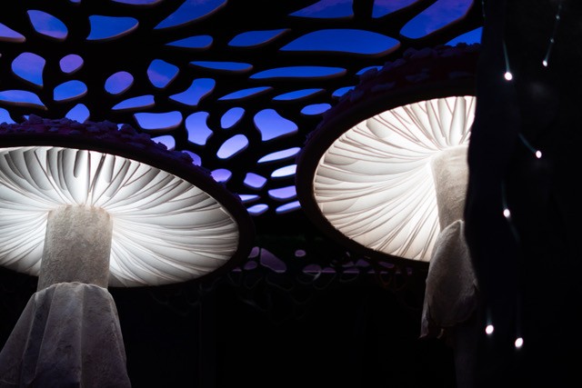 Mushroom Forest immersive art prototype for Babaroosa - COURTESY