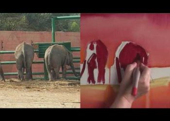 Improve Your Animals in Mixed Media Two – Part One
